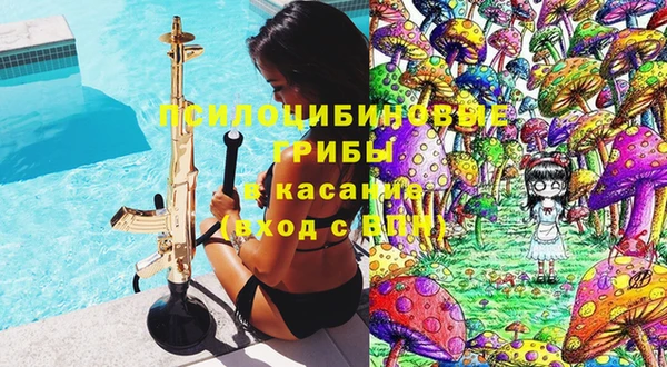 ECSTASY Абаза
