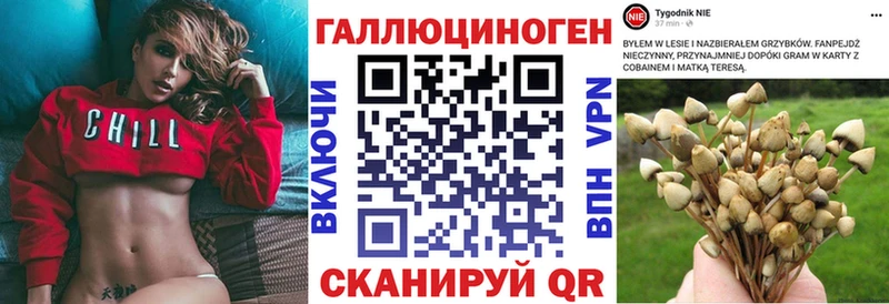 Псилоцибиновые грибы Cubensis  Починок 