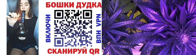 цены наркотик  hydra онион  нарко площадка наркотические препараты  Починок  Бошки марихуана THC 21% 